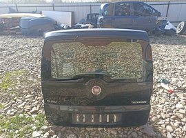 Леда задняя